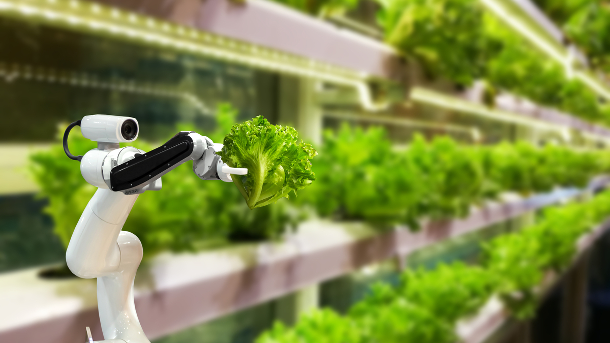 ASCM 565: Post Harvest Technology